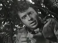   (1972)